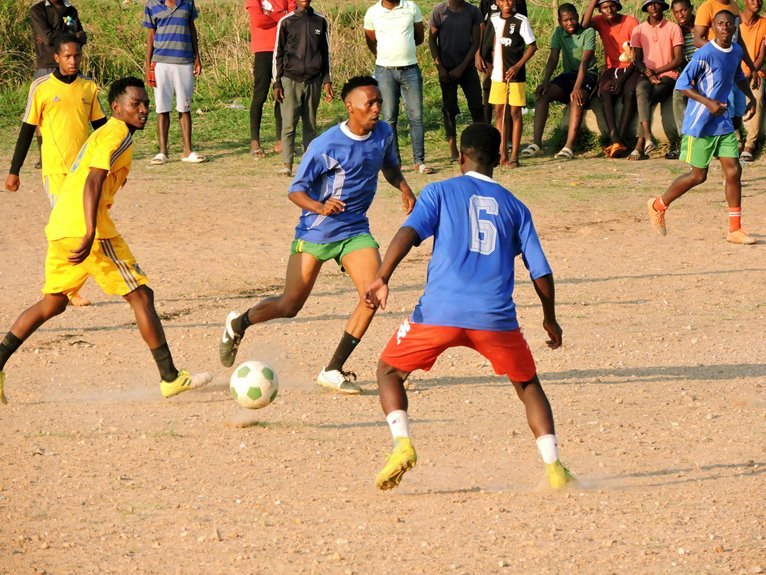 daily game score updates