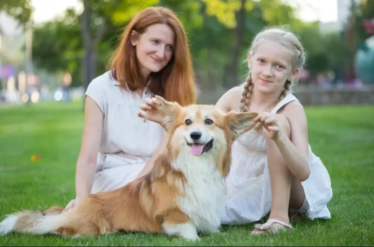 Choosing The Right Dog For City Families